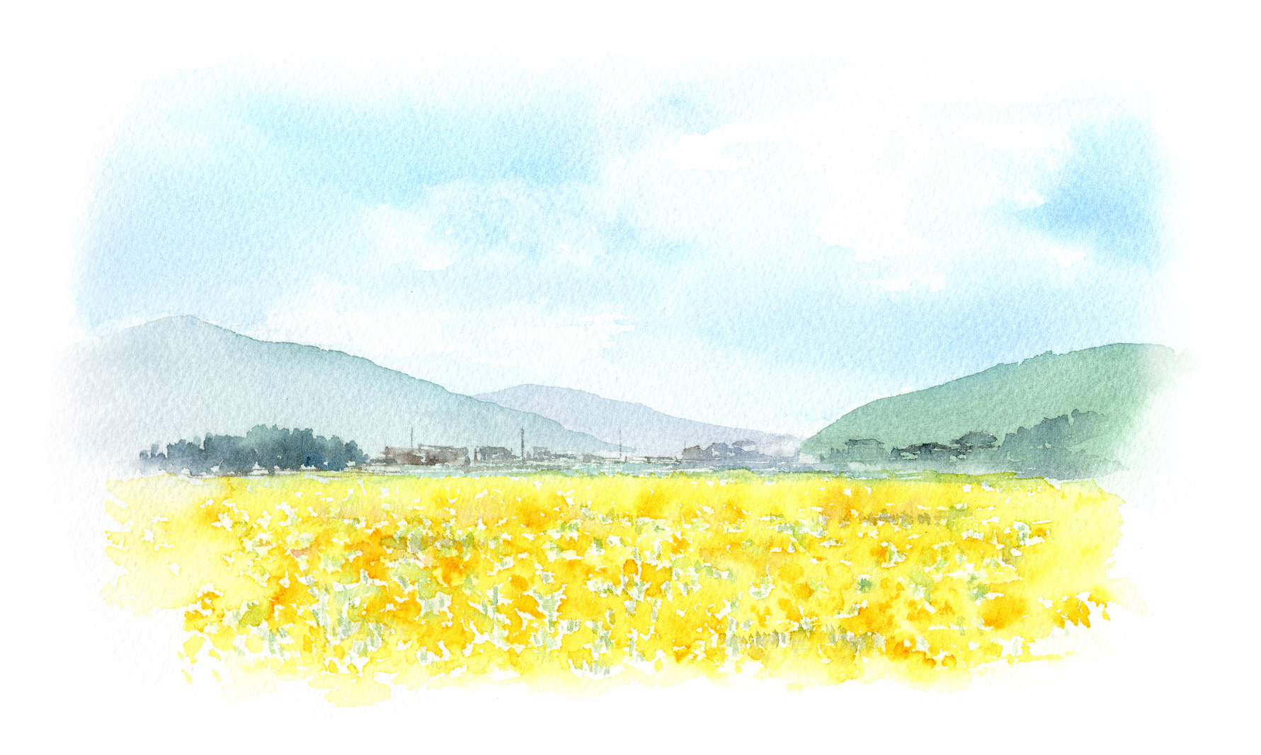 山　黄色い花の花畑　水彩画