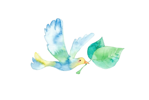 Fotolia_94275392_Subscription_Monthly_M1-removebg-preview